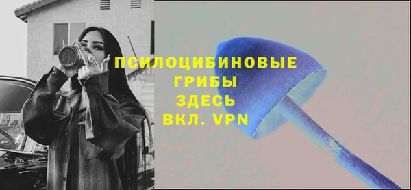 первитин Алексин