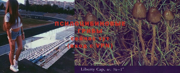 ПСИЛОЦИБИНОВЫЕ ГРИБЫ Алзамай