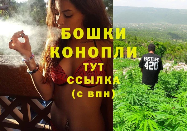 гидра Алексеевка