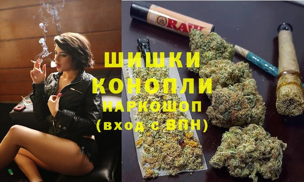ПСИЛОЦИБИНОВЫЕ ГРИБЫ Алзамай